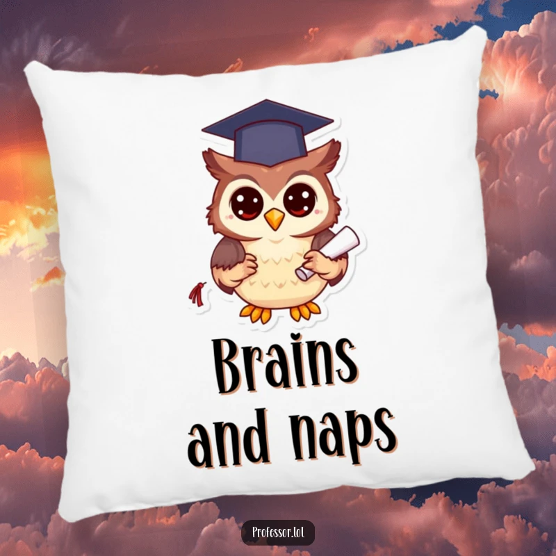 Funny happy owl character in a graduation cap holding a diploma, looking cozy and proud on this decorative pillow.