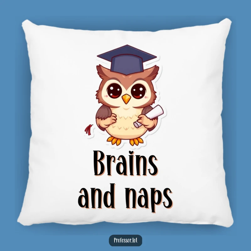 Funny Graduation Owl Pillow, Comfy Academic Decor, Great Gift Item